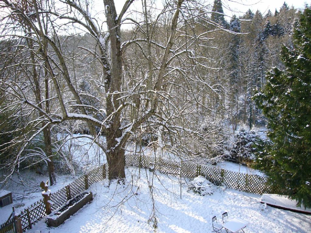 Burghof Wallhausen Konstanz Luaran gambar